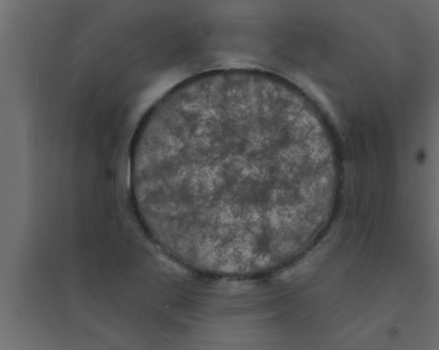 X0000094211269200711241652