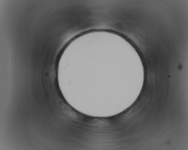 X0000094211270200711241652