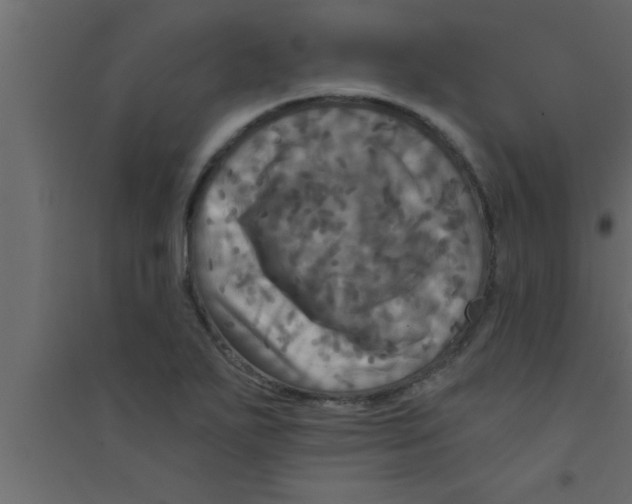 X0000094211271200711241652
