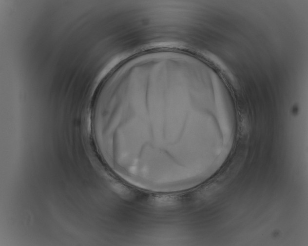 X0000094211274200711241652