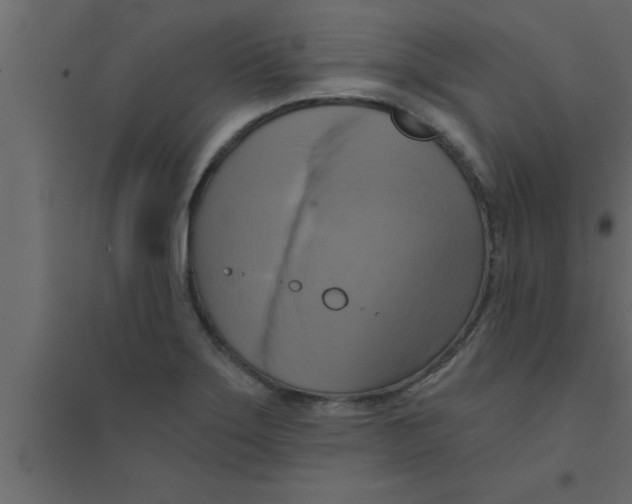 X0000094211275200711241652