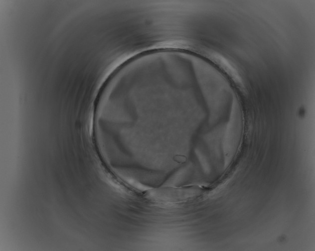 X0000094211276200711241652