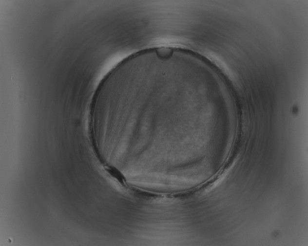 X0000094211277200711241652