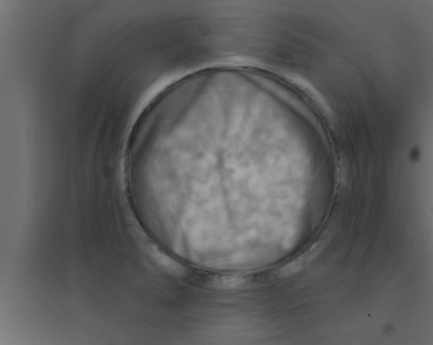 X0000094211278200711241652