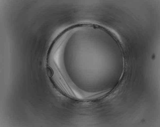 X0000094211279200711241652