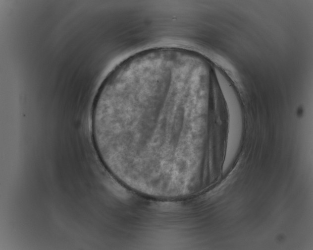 X0000094211280200711241652