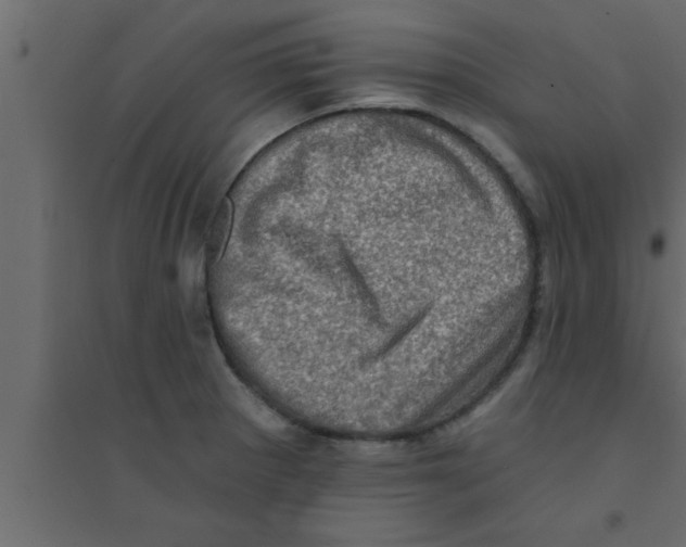 X0000094211281200711241652