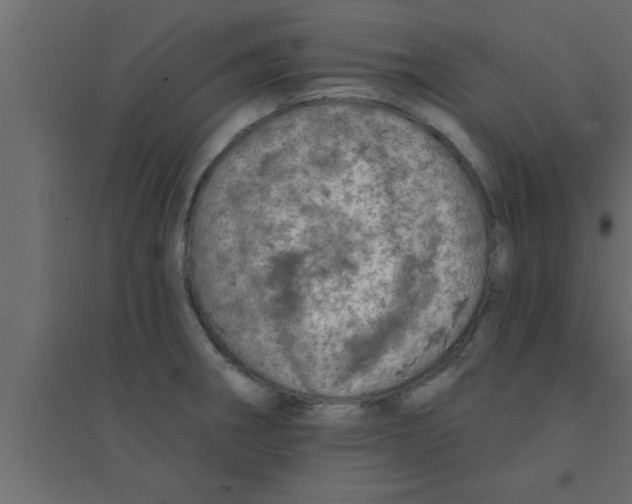 X0000094211282200711241652