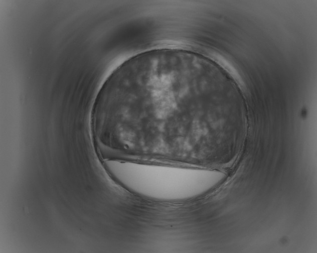 X0000094211283200711241652