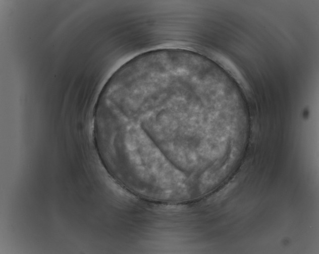 X0000094211284200711241652
