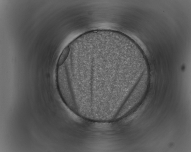 X0000094211285200711241652