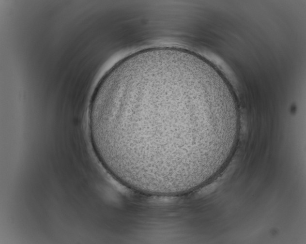 X0000094211286200711241652