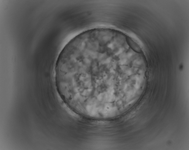 X0000094211287200711241652