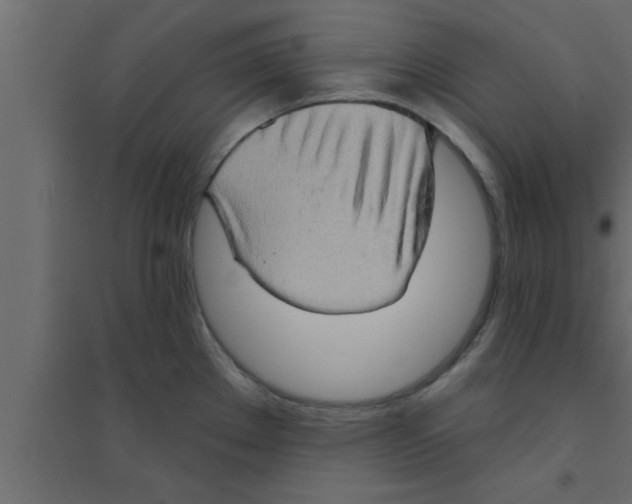 X0000094211289200711241652