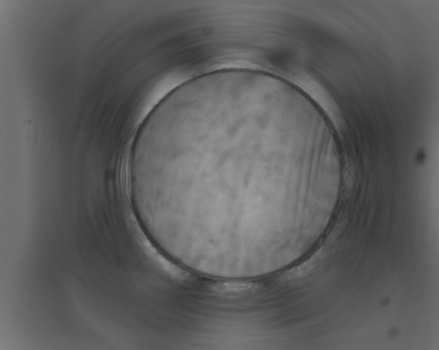 X0000094211290200711241652
