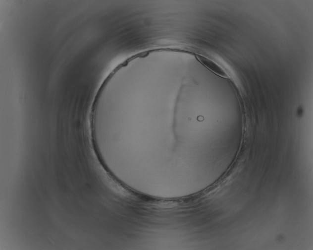 X0000094211291200711241652