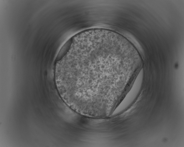 X0000094211292200711241652