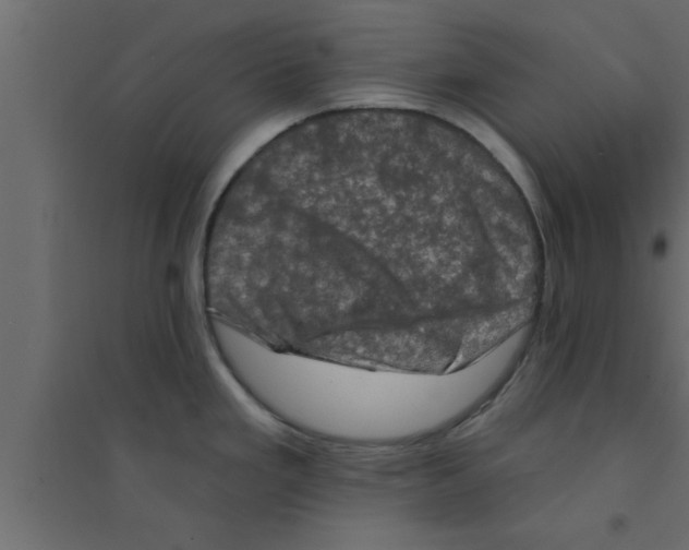 X0000094211293200711241652