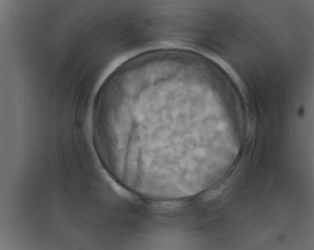 X0000094211294200711241652
