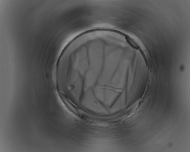X0000094211295200711241652