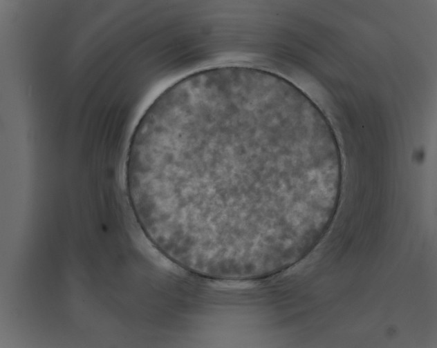 X0000094211296200711241652