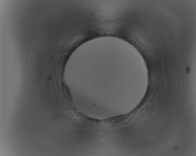 X0000094211297200711241651