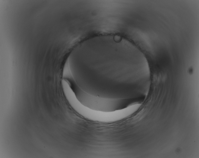 X0000094211300200711241651