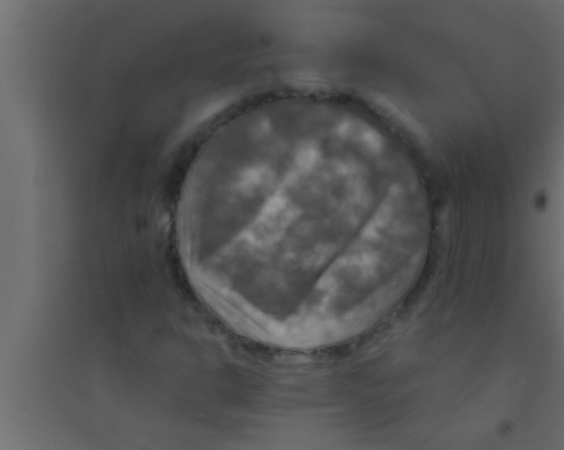 X0000094211302200711241651