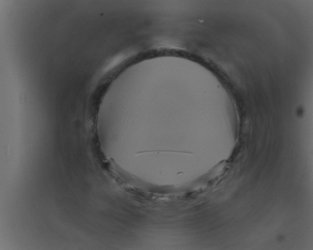 X0000094211303200711241651