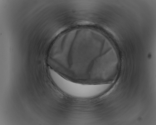 X0000094211305200711241651