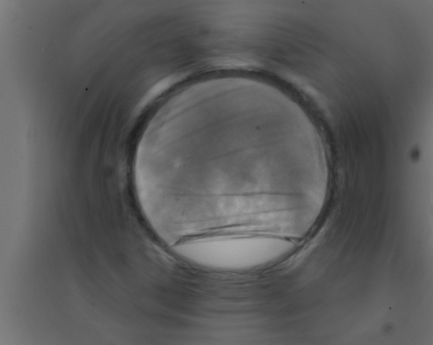 X0000094211306200711241651