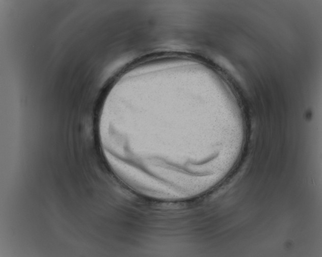 X0000094211307200711241651