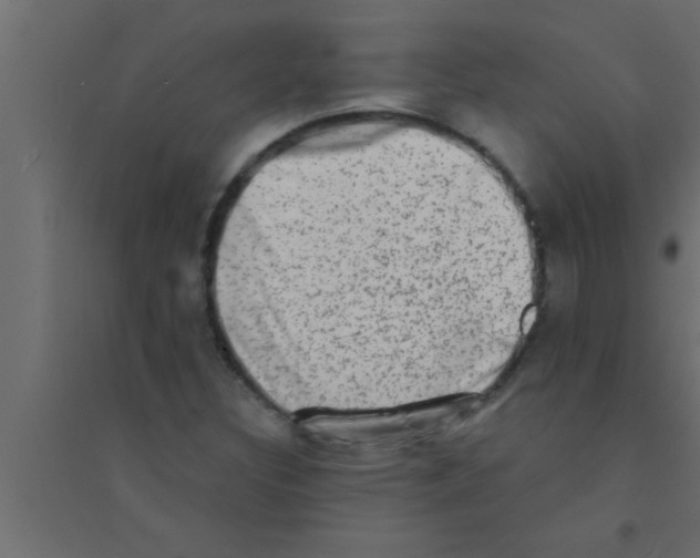 X0000094211308200711241651