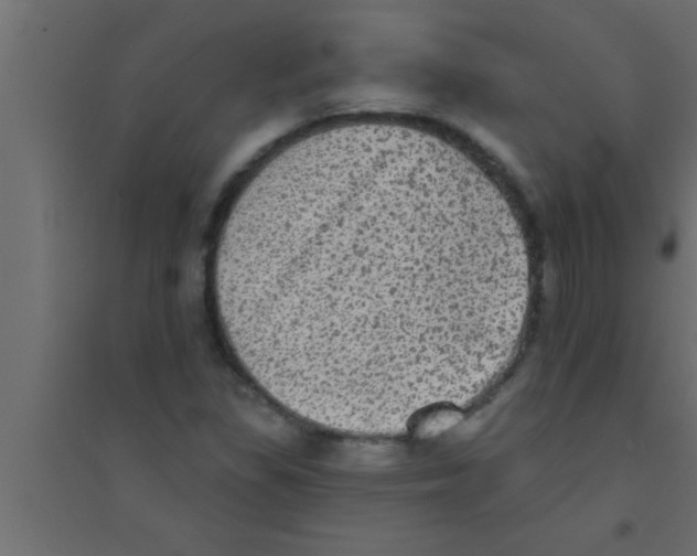 X0000094211309200711241651