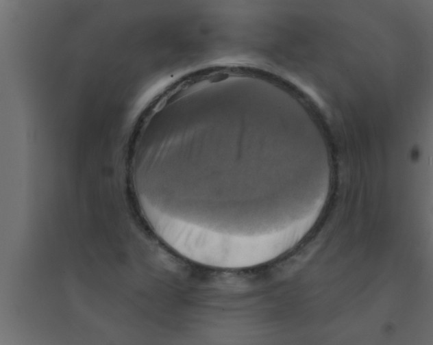 X0000094211311200711241651