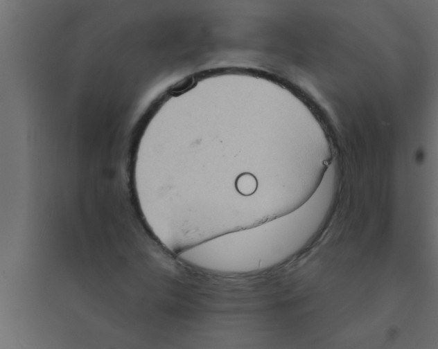 X0000094211312200711241651