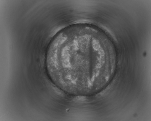 X0000094211313200711241651