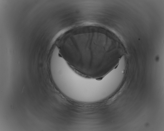 X0000094211314200711241651