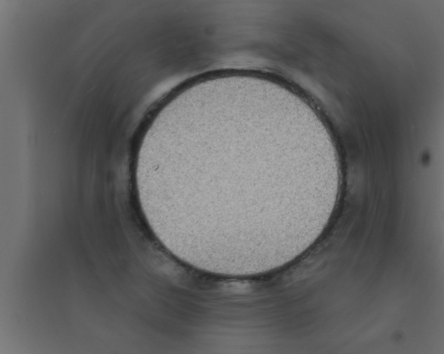 X0000094211315200711241651