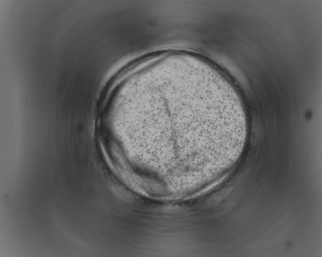 X0000094211316200711241651