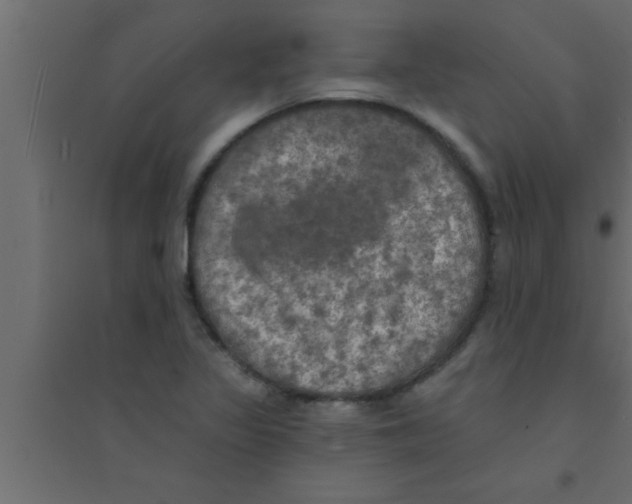 X0000094211317200711241651