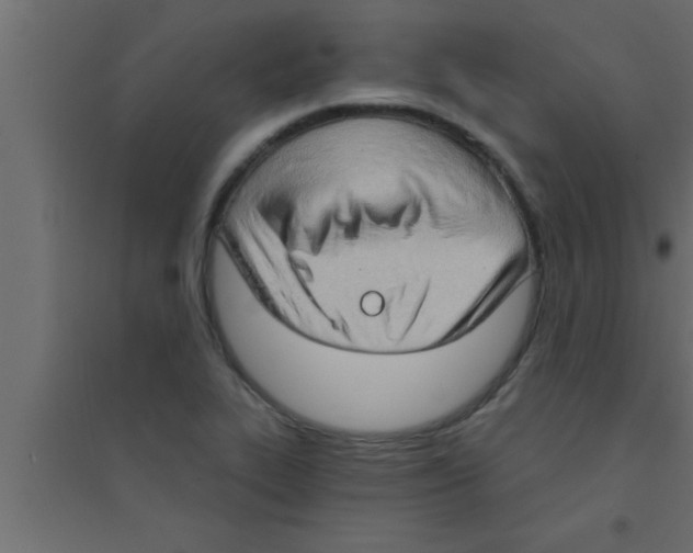 X0000094211319200711241651