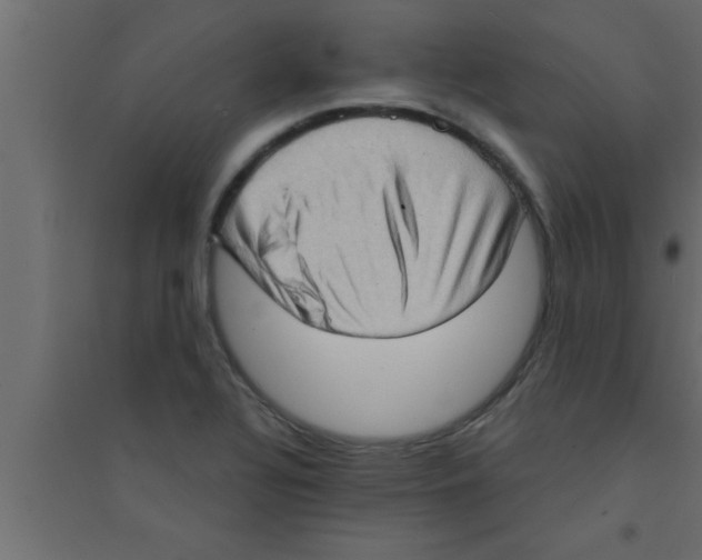 X0000094211320200711241651