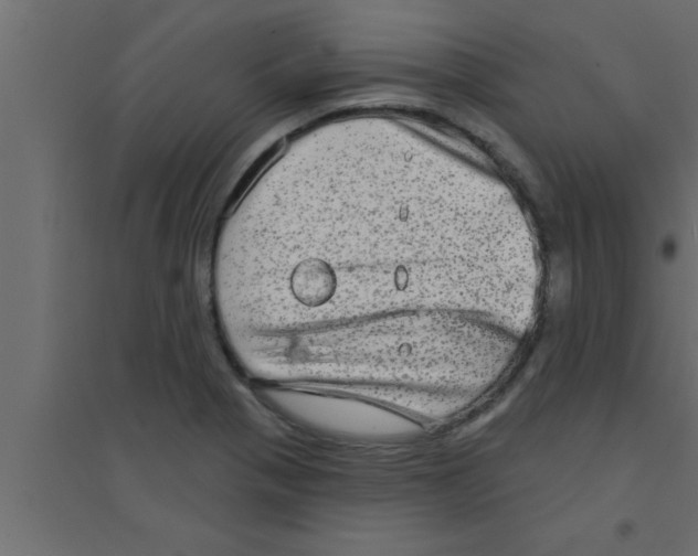X0000094211321200711241651