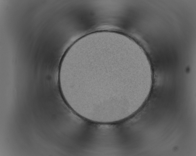 X0000094211322200711241651