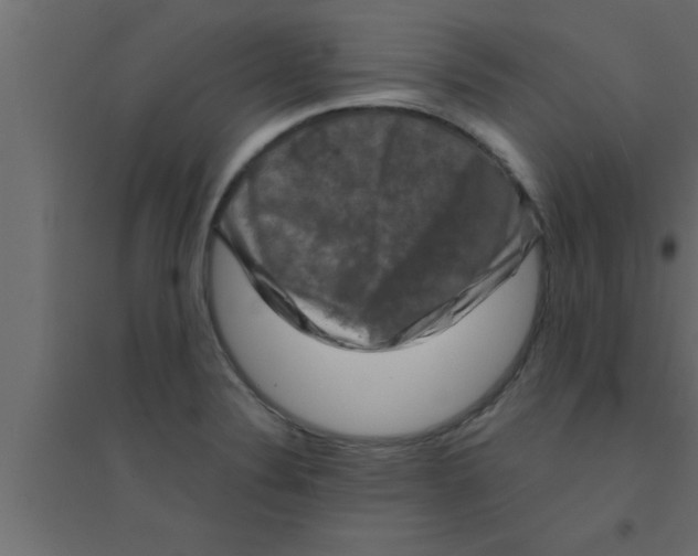 X0000094211324200711241651