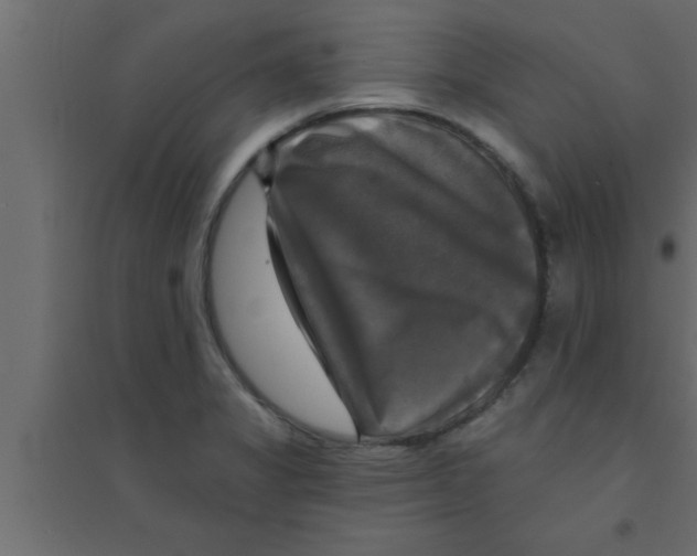 X0000094211325200711241651