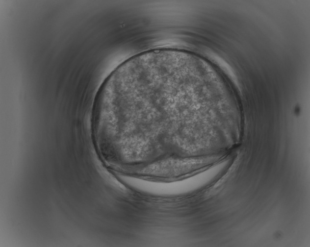 X0000094211330200711241651