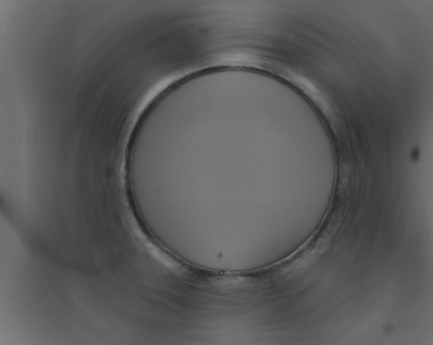 X0000094211331200711241651