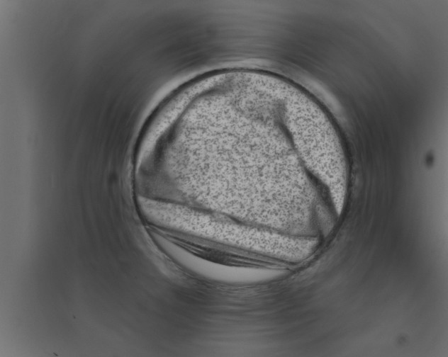 X0000094211332200711241651
